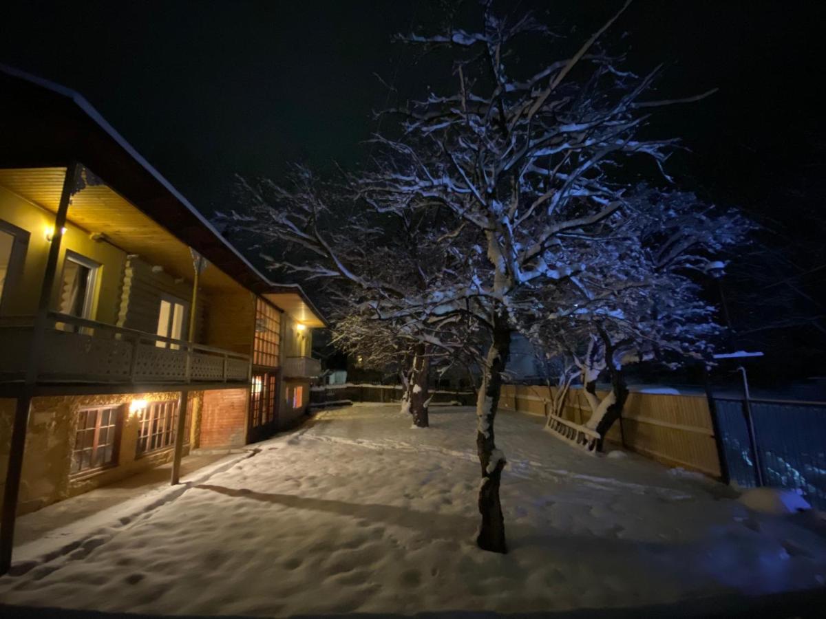Art Villa Bakuriani Kültér fotó